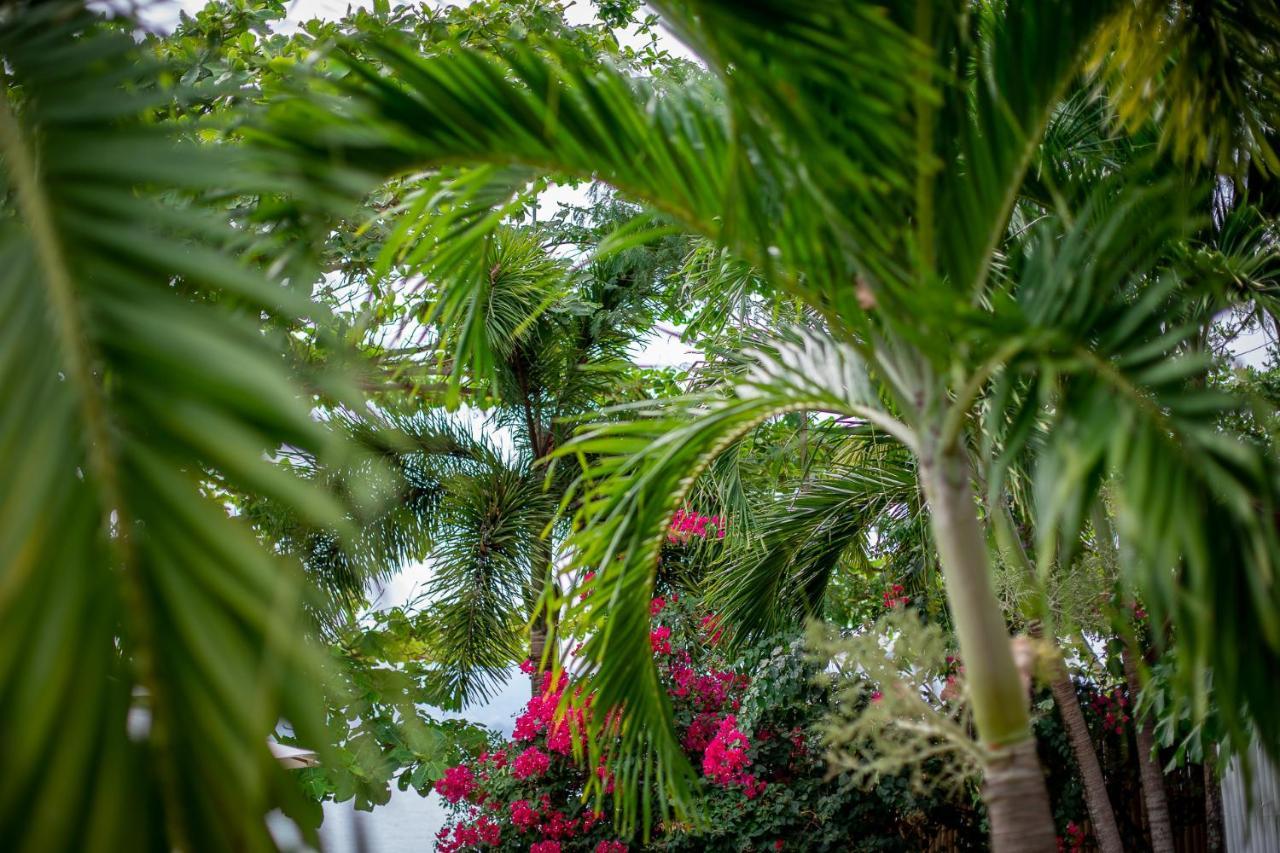Soul Villas - Beachfront Private Pool Villas, Phuket Nature Retreat Cape Panwa Екстер'єр фото